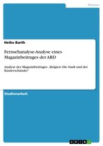 Fernsehanalyse-Analyse eines Magazinbeitrages der ARD: Analyse des Magazinbeitrages 'Belgien: Die Stadt und der Kinderschänder'