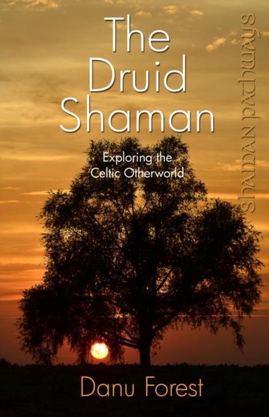 Shaman Pathways Druid Shaman