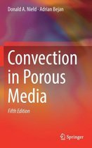 Convection in Porous Media