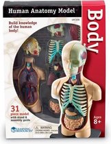 Human body - menselijke anatomie set - het lichaam/de torso