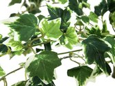 Europalms kunstplant - Holland Ivy struik - 50 cm