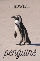 I Love Penguins