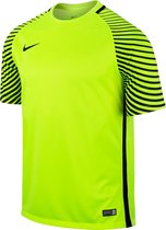 Nike Gardien GK Jersey  Sportshirt - Maat M  - Mannen - geel/zwart