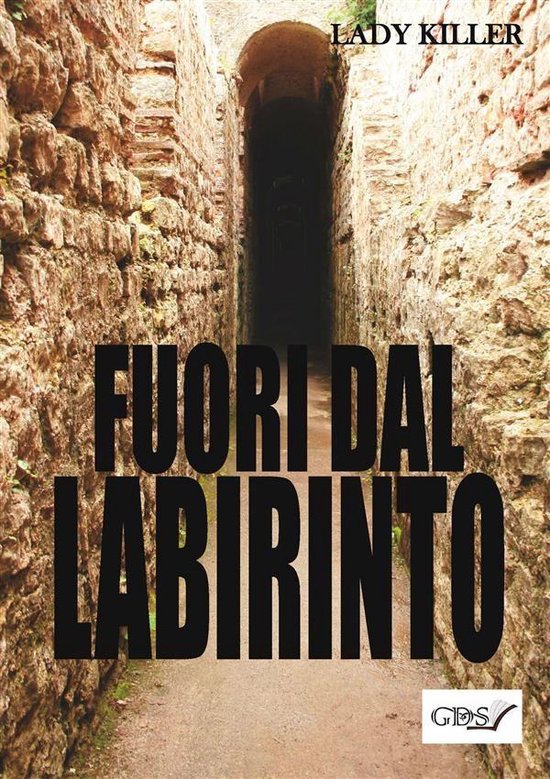 Fuori dal labirinto - cover