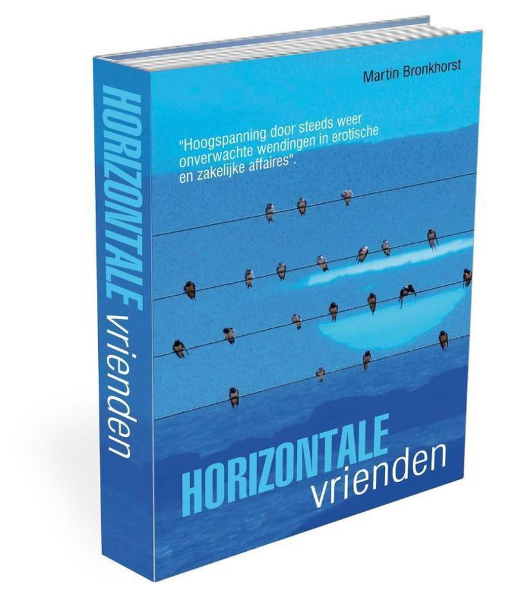 Horizontale vrienden, Martin Bronkhorst 9789462280236 Boeken bol afbeelding