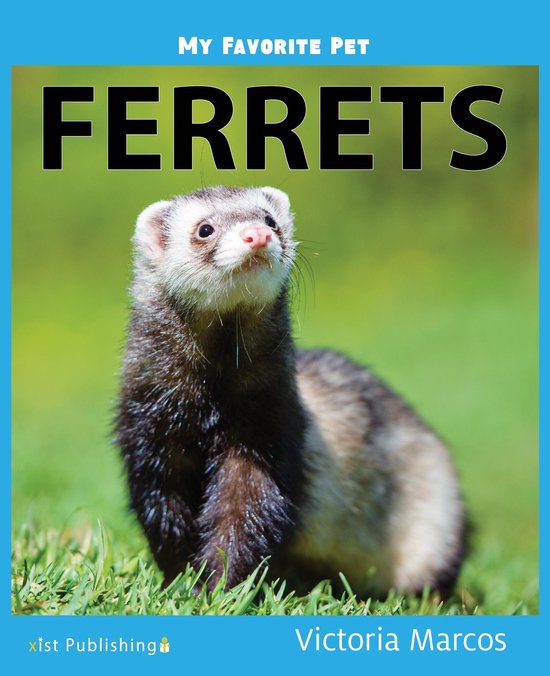 My Favorite Pets 3 - My Favorite Pet: Ferrets - cover