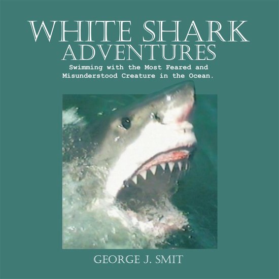 All About Sharks: Great White Sharks