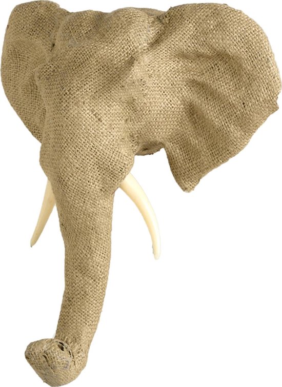 QUAX - DIERENKOP TROFEE - OLIFANT