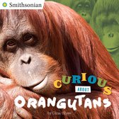 Smithsonian - Curious About Orangutans