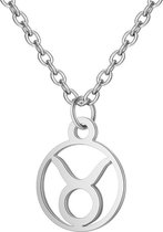 24/7 Jewelry Collection Stier Ketting - Cirkel - Sterrenbeeld - Horoscoop - Zilverkleurig