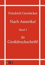 Nach Amerika!