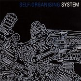 Self Organising System