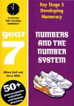 Numbers and the Number System