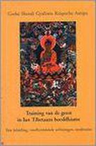 Training Van Geest In Tibetaanse Boedshisme