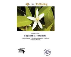 Euphorbia Corollata