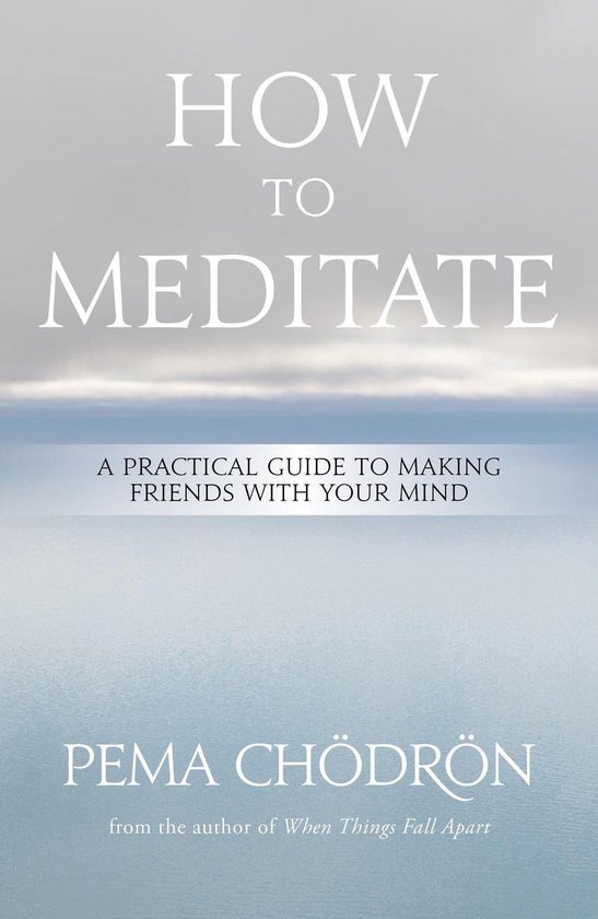 Boek "How to Meditate" door Pema Chödrön. Grijze lucht en kalme zee op de omslag. Tekst: "HOW TO MEDITATE A PRACTICAL GUIDE TO MAKING FRIENDS WITH YOUR MIND"