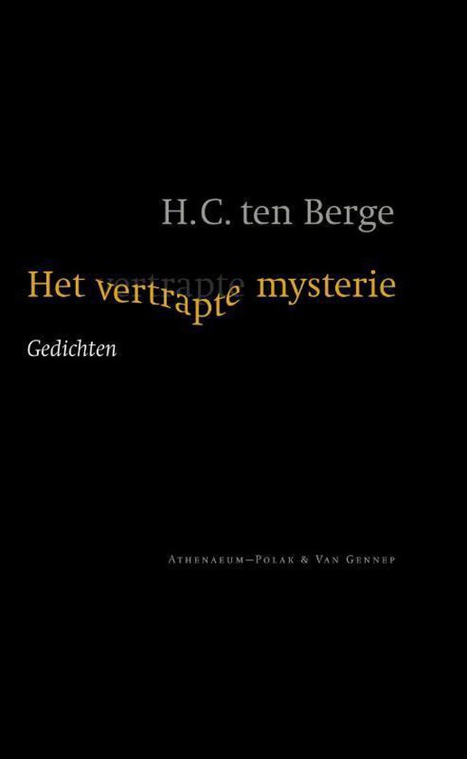 Cover van het boek 'Het vertrapte mysterie'