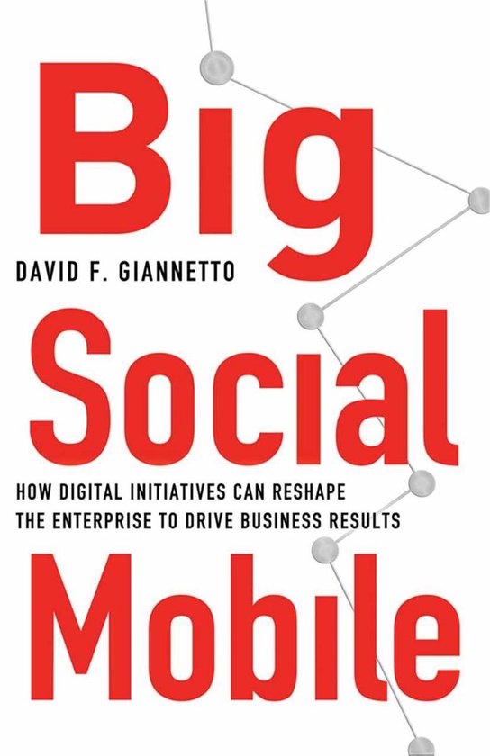 Business and Management (R0) - Big Social Mobile - cover