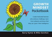 Teachers' Pocketbooks 40 - Growth Mindset Pocketbook
