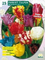 2 stuks Baltus Tulipa Parkiet Mix per 25