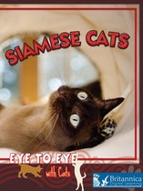 Eye to Eye with Cats - Siamese Cats