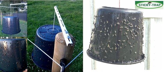 Sticky Trap Dazenval Dazenlijm 1,5L (Dazenvallen lijm)