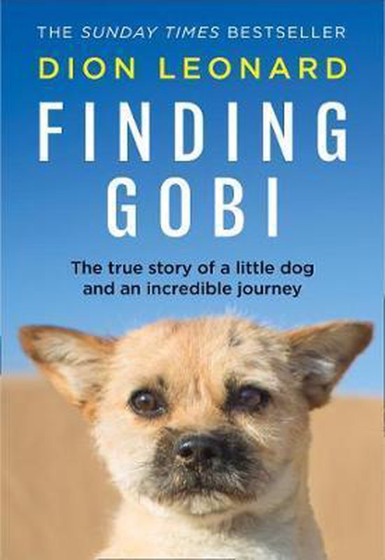 Finding Gobi (Main edition) - cover
