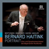 Chor Und Symphonieorchester Des Bayerischen Rundfunks - Portrait (11 CD)