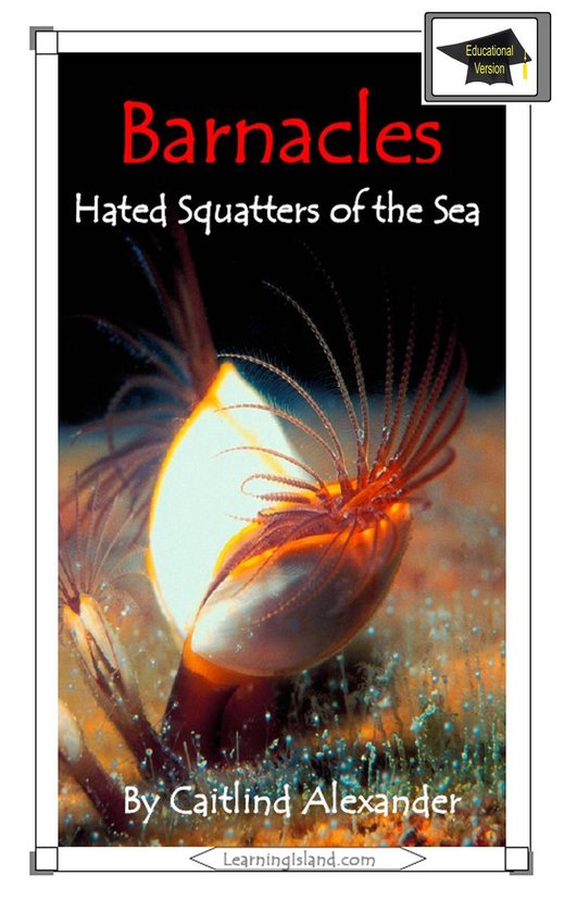 15-Minute Books 321 - Barnacles: Hated Squatters of the Sea: ... - cover