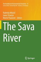 The Sava River