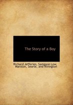 The Story of a Boy