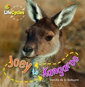 Life Cycle Joey to Kangaroo