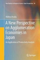 New Frontiers in Regional Science: Asian Perspectives-A New Perspective on Agglomeration Economies in Japan