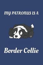 My Patronus Is a Border Collie