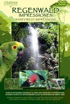 Rainforest Impressions