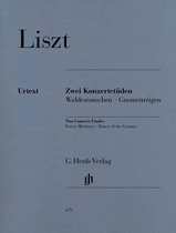 Zwei Konzertetüden