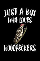 Just A Boy Who Loves Woodpeckers