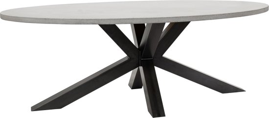aftrekken Wennen aan textuur Beton tafel ovaal 220 x 110 x 4 - licht grijs - Matrix onderstel | bol.com