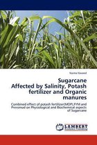 Sugarcane  Affected by Salinity, Potash fertilizer and Organic manures