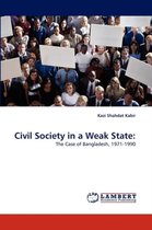 Civil Society in a Weak State