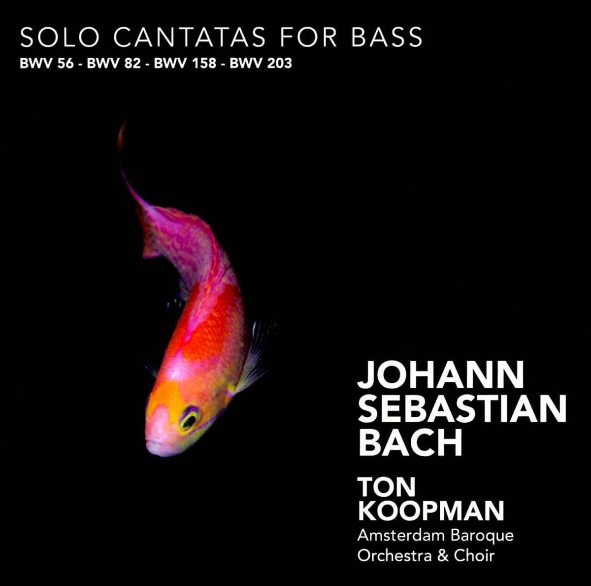 Solo Cantatas For Bass