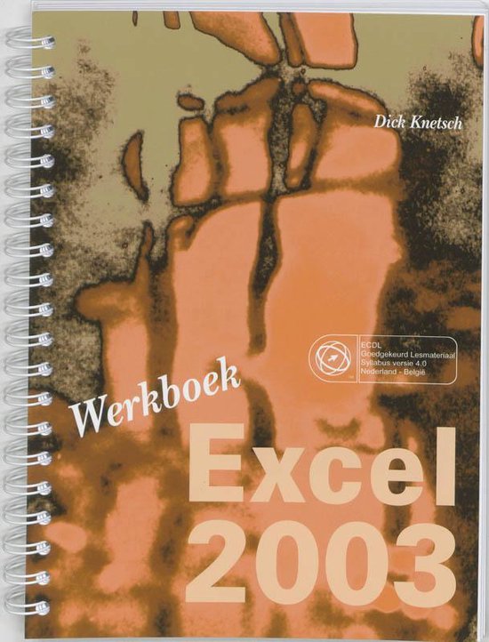 Werkboek Excel 2003 - Dick Knetsch | Respetofundacion.org