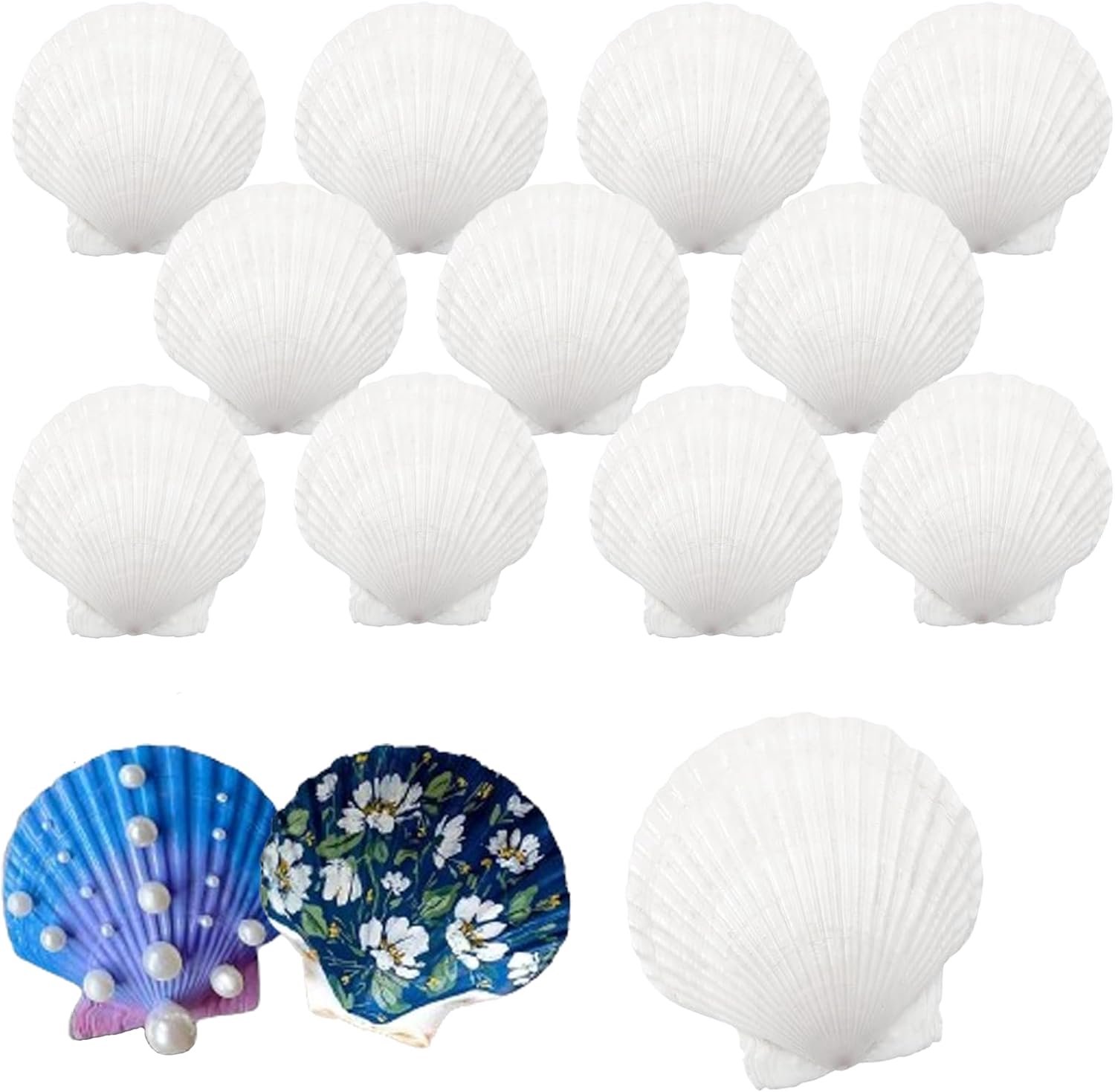 Decoratieve Schelpen 10-12cm - Natuurlijke Witte Schelpen - 12 Stuks - Perfect voor Home Decoratie - Luxento