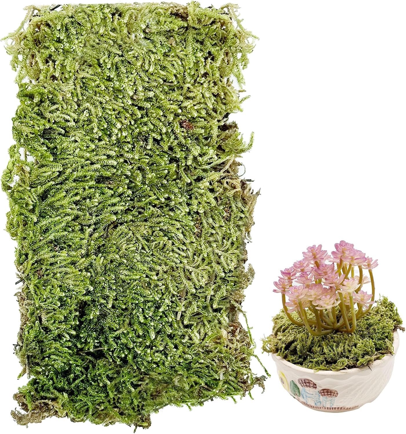 Kunstgras voor Modelspoor en Landschapsdecoratie, Kunstmos voor Natuurlijke Uiterlijk en Realistische Diorama's (Stijl C)