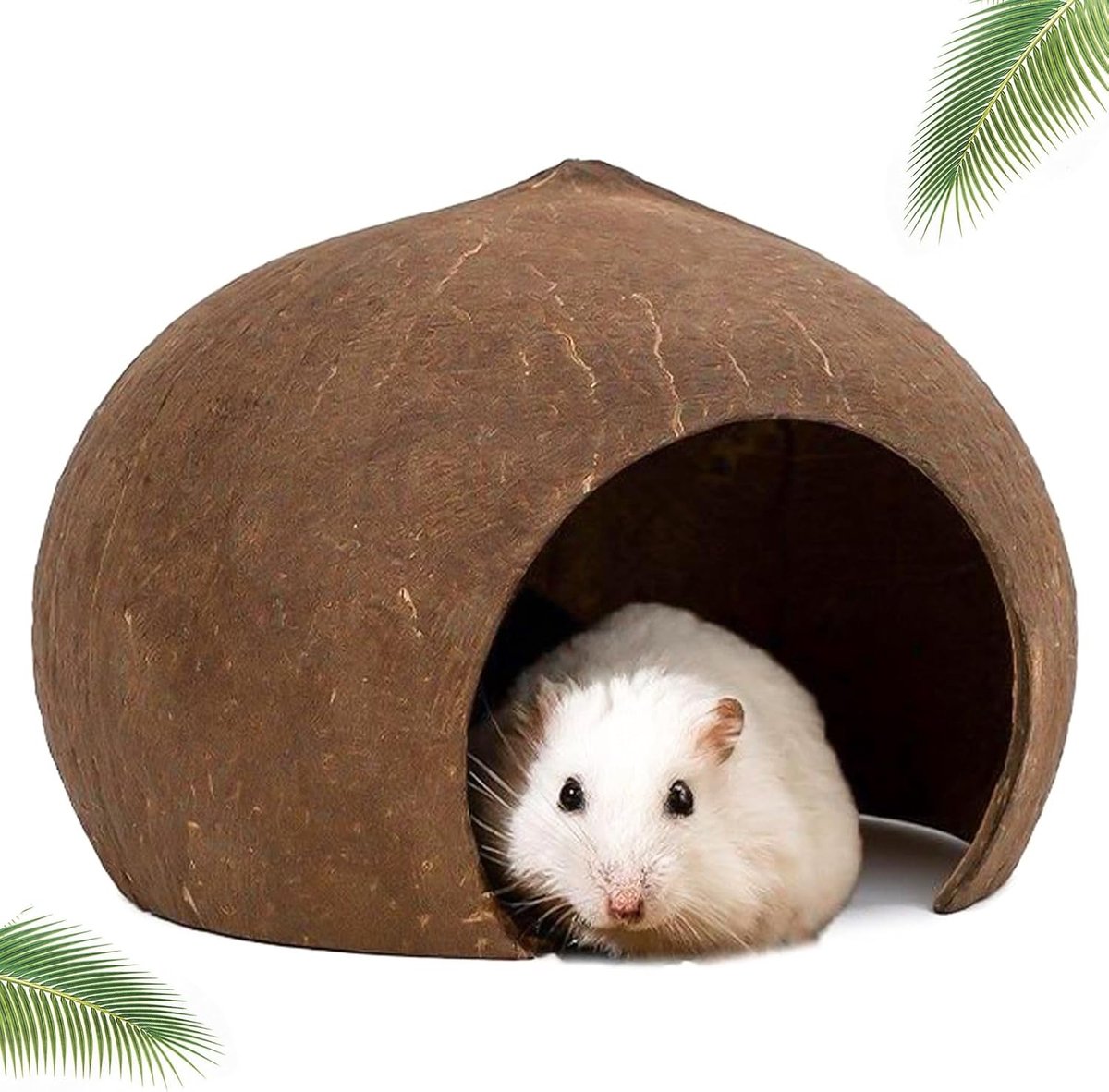 Kokosnoothut, schuilplaats voor kokosnoot, vogelhuis, kleine huisdierhabitat, gekko nesthuis, kleine dieren schuilplaats, woondecoratie, 13,5 x 7,6 x 10,5 cm