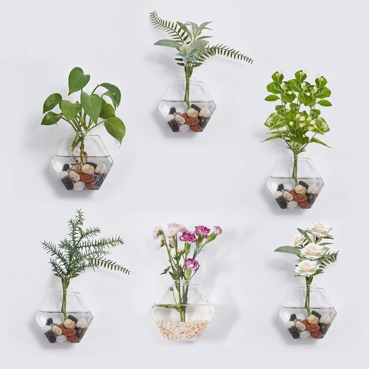 Glas Terrarium (Hexagon)