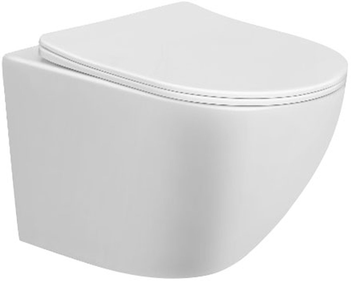 Geberit UP100 Brogali Jet flush Rim Free Glans wit