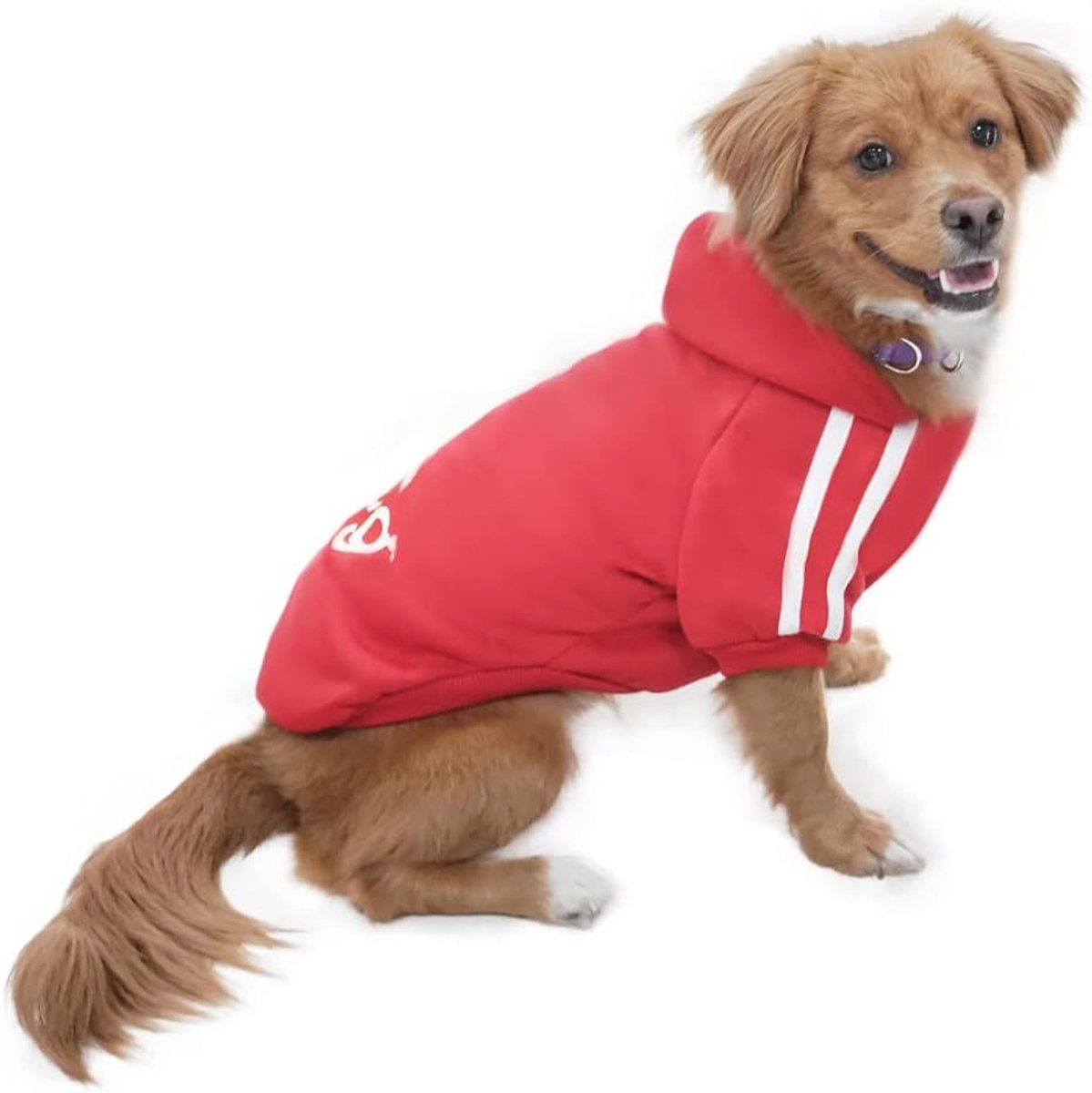 Sweater Hondenkleding, hondenjas, rood, maat M