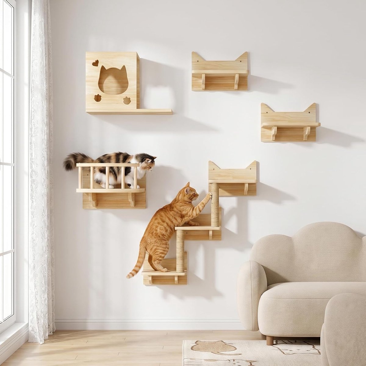 klimwand katten