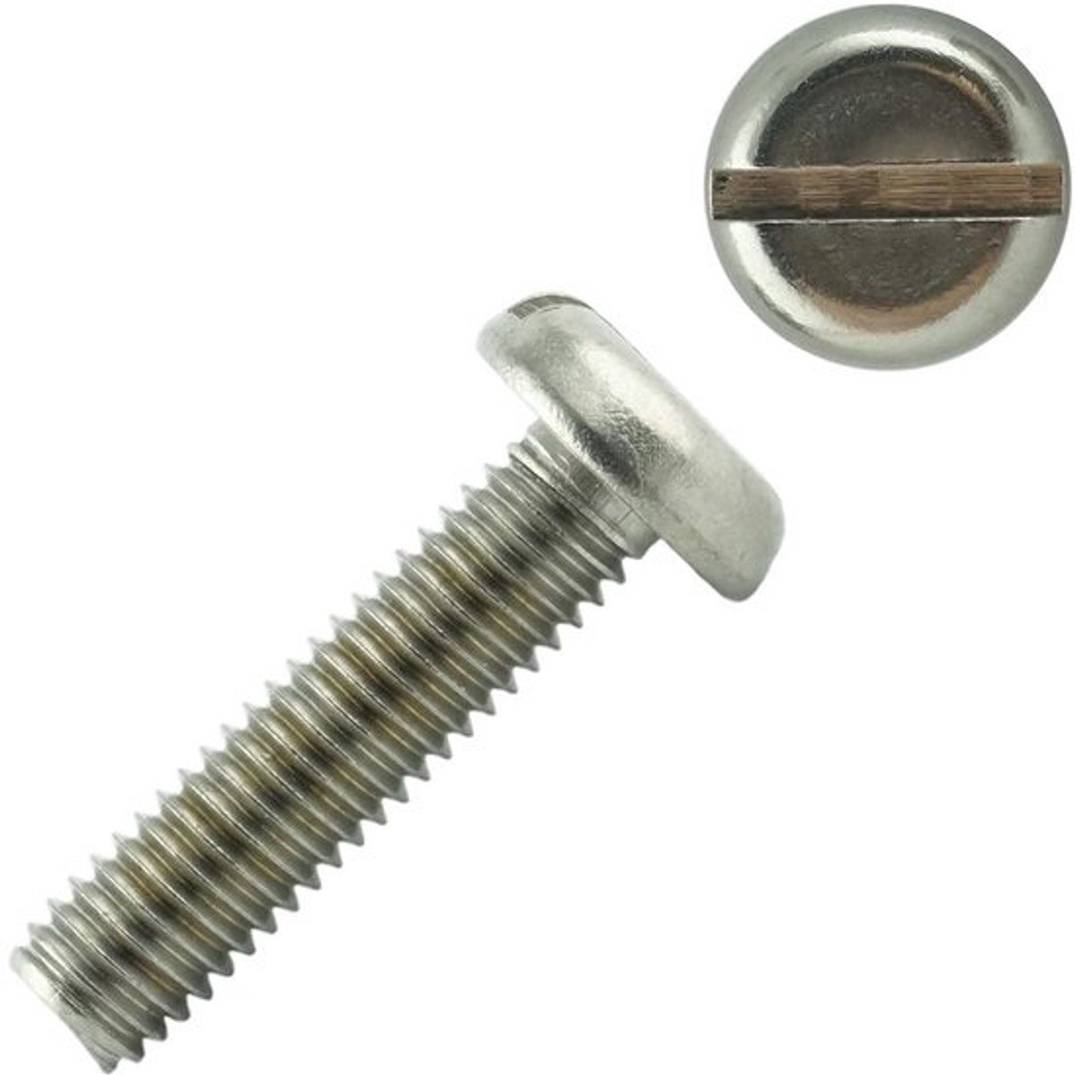 RVS Platte Kopschroeven met Sleuf M6 x 55 mm (40 stuks) - DIN 85 - Beschermd tegen Roest
